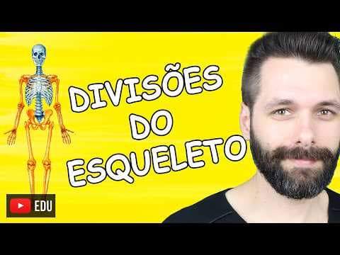 Thumbnail da aula: ESQUELETO AXIAL E APENDICULAR - Sistema Esquelético | Biologia com Samuel Cunha