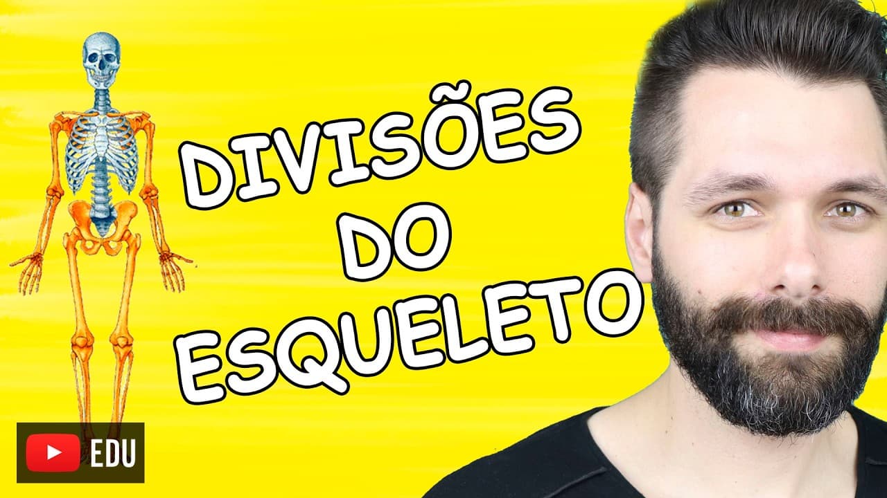 Thumbnail: ESQUELETO AXIAL E APENDICULAR - Sistema Esquelético | Biologia com Samuel Cunha