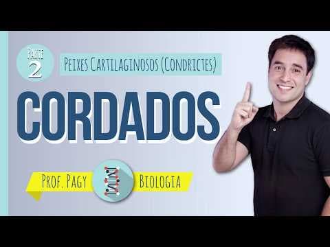Thumbnail da aula: Cordados parte II - prof. Pagy - Biologia
