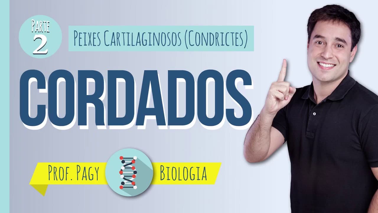 Thumbnail: Cordados parte II - prof. Pagy - Biologia