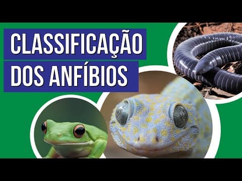 Thumbnail da aula: CLASSIFICAÇÃO DOS ANFÍBIOS | Biologia para o Enem | Cláudia de Souza Aguiar