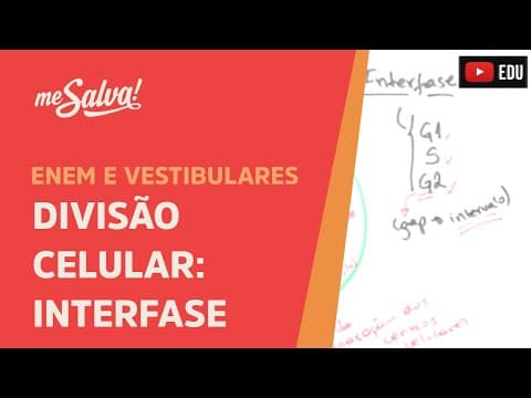 Thumbnail da aula: Me Salva! CIT25 - Citologia - Divisão celular: Interfase