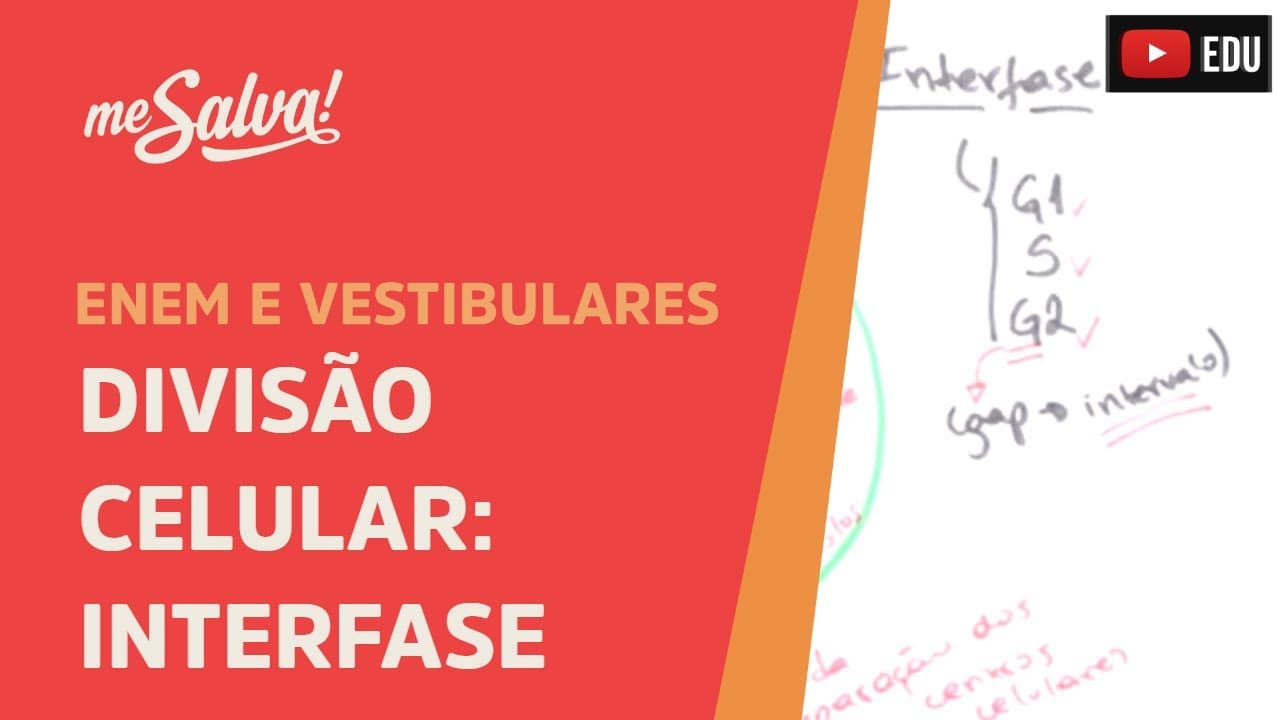 Thumbnail: Me Salva! CIT25 - Citologia - Divisão celular: Interfase