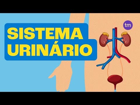 Thumbnail da aula: SISTEMA URINÁRIO e Suas Funções