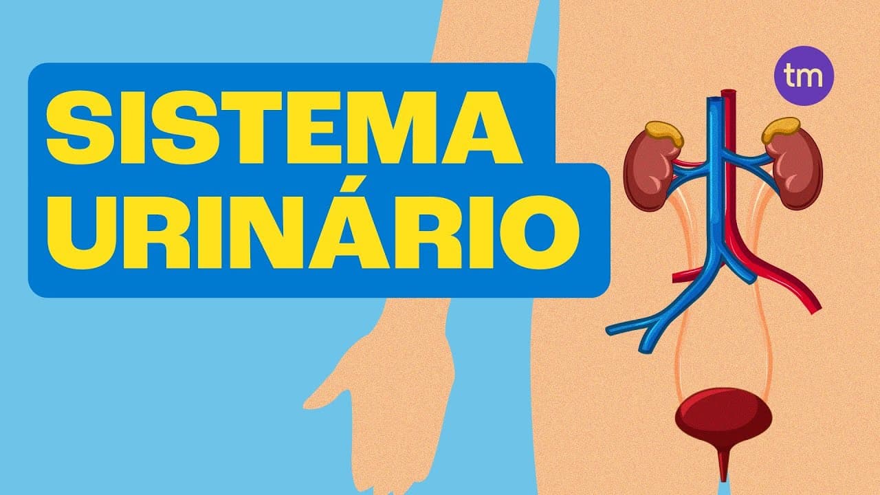 Thumbnail: SISTEMA URINÁRIO e Suas Funções