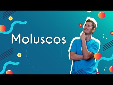 Thumbnail da aula: Moluscos - Brasil Escola