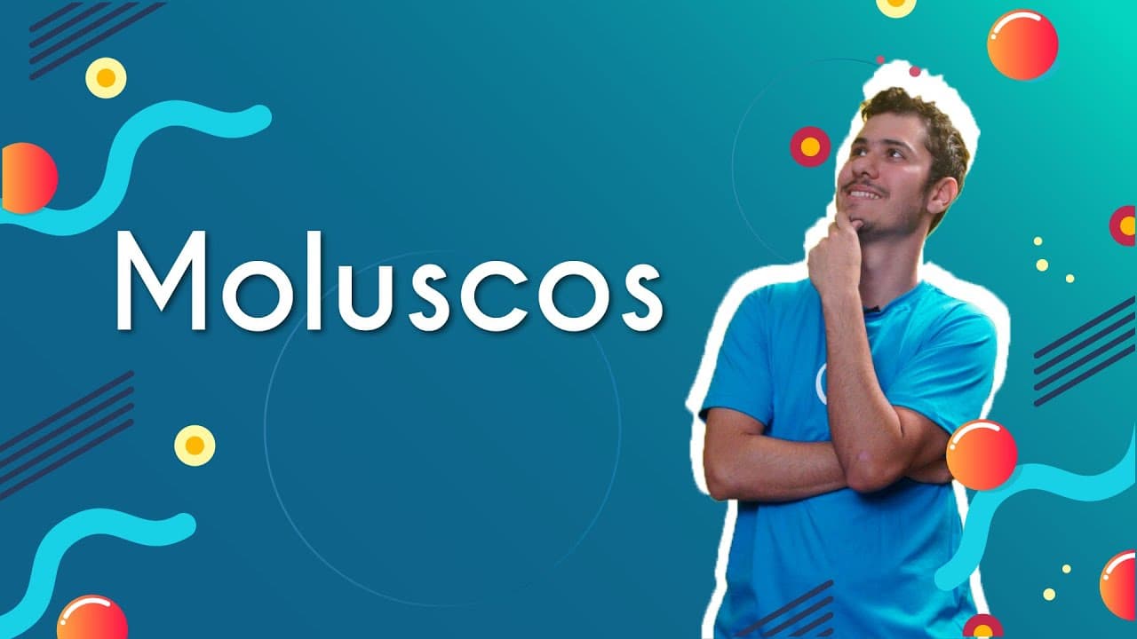 Thumbnail: Moluscos - Brasil Escola