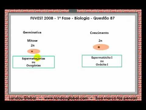 Thumbnail da aula: USP_2008_BIO_P1_Q87