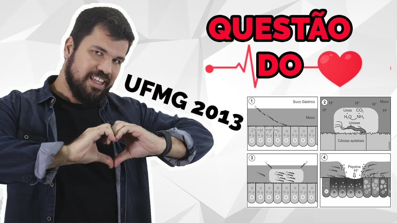 Thumbnail: Questão do Coração - Biologia - UFMG 2013 - Sistema Digestório - Estômago - Helicobacter Pylori