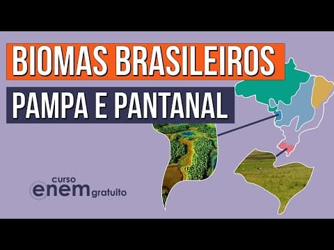 Thumbnail da aula: BIOMAS BRASILEIROS: Pampa e Pantanal | Biologia para o Enem | Cláudia de Souza Aguiar