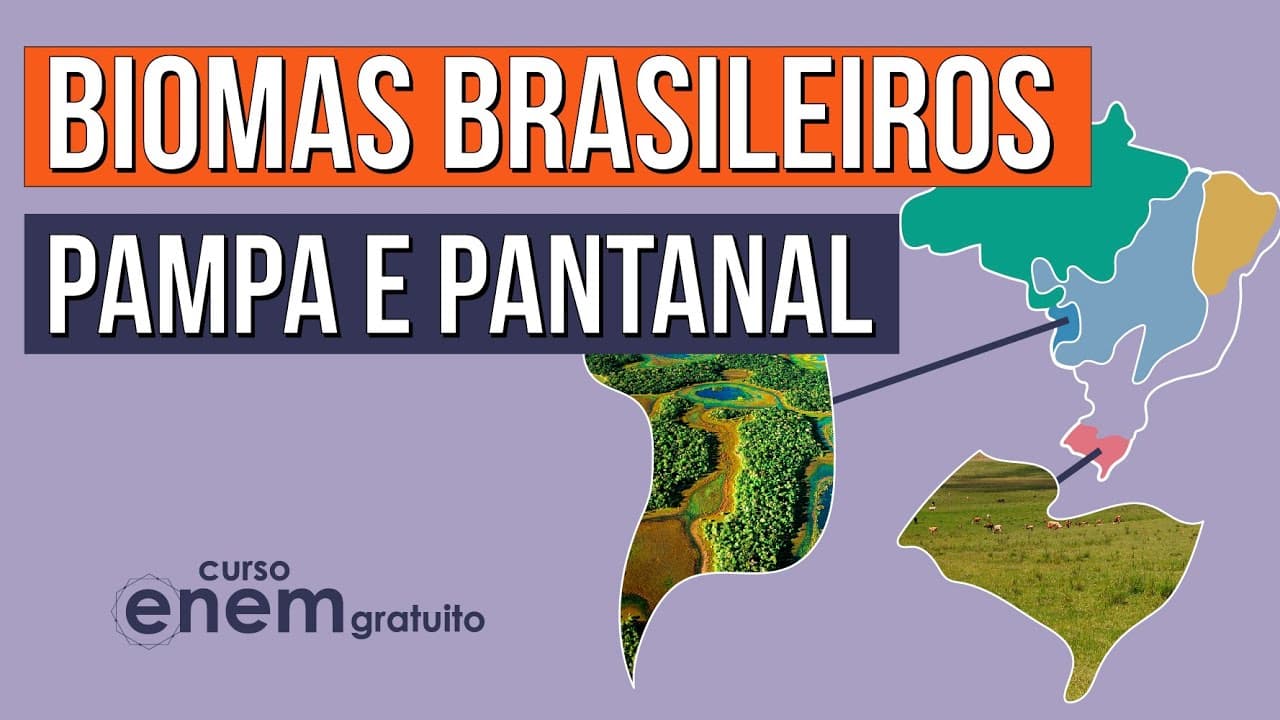 Thumbnail: BIOMAS BRASILEIROS: Pampa e Pantanal | Biologia para o Enem | Cláudia de Souza Aguiar