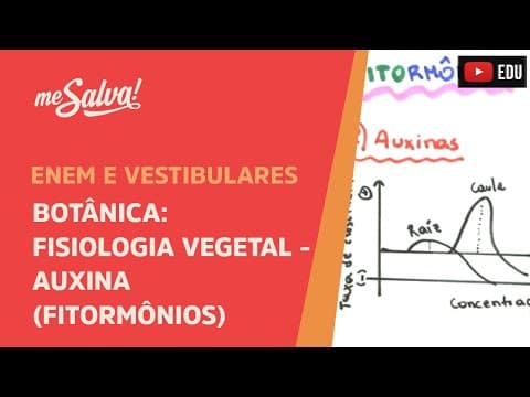 Thumbnail da aula: Me Salva! BOT30 - Botânica - Fisiologia vegetal: Auxina (fitormônios)