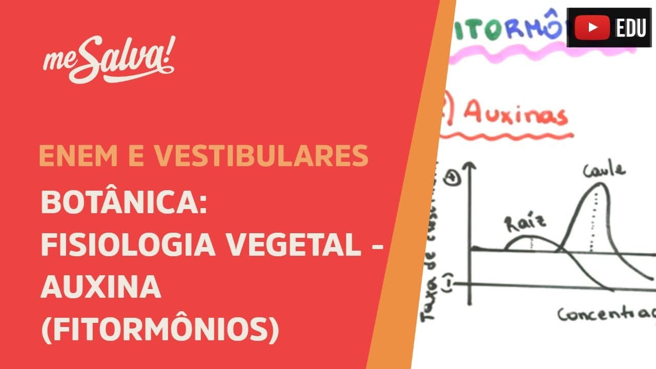 Thumbnail: Me Salva! BOT30 - Botânica - Fisiologia vegetal: Auxina (fitormônios)