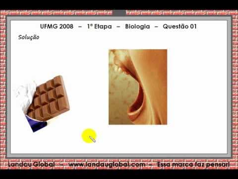Thumbnail da aula: UFMG_2008_BIO_P1_Q01
