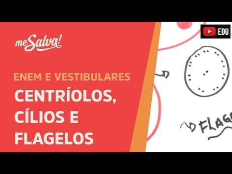 Thumbnail da aula: Me Salva! CIT21 - Citologia - Organelas citoplasmáticas 4 - Centríolos, Cílios e Flagelos