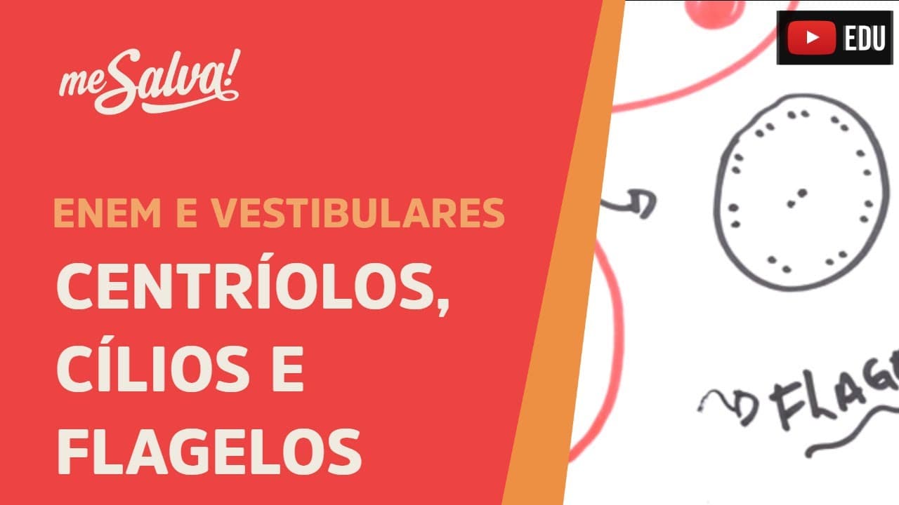 Thumbnail: Me Salva! CIT21 - Citologia - Organelas citoplasmáticas 4 - Centríolos, Cílios e Flagelos