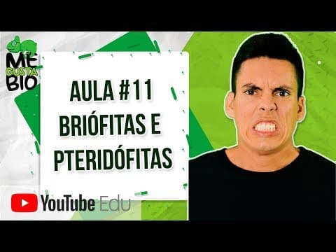 Thumbnail da aula: Briófitas e Pteridófitas - Me Gusta Bio com Professor Gustavo Schmidt