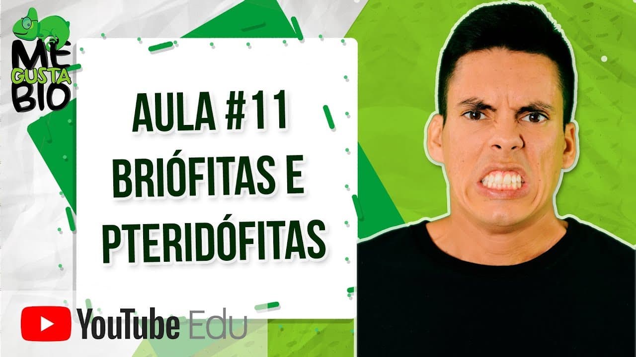 Thumbnail: Briófitas e Pteridófitas - Me Gusta Bio com Professor Gustavo Schmidt
