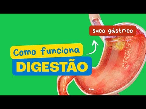 Thumbnail da aula: O Segredo da Digestão dos Alimentos