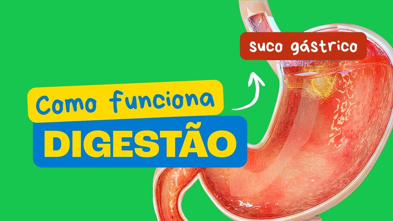 Thumbnail: O Segredo da Digestão dos Alimentos
