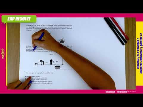 Thumbnail da aula: A COLETA DAS FEZES DOS ANIMAIS DOMÉSTICOS EM SACOLAS PLÁSTICAS(...) |POLUIÇÃO E IMPACTOS AMBIENTAIS