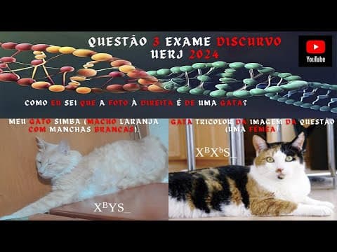 Thumbnail da aula: Questão 03 Exame Discursivo UERJ Vestibular 2024 (Biologia)