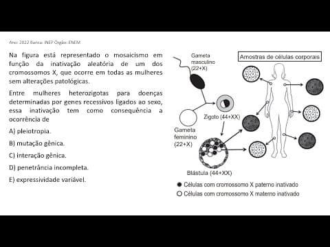 Thumbnail da aula: ENEM 2022 - Na figura está representado o mosaicismo em função da inativação aleatória de um dos ...