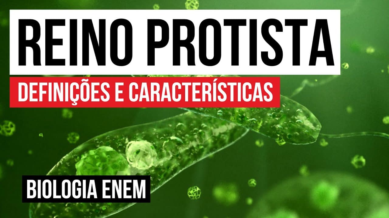 Thumbnail: REINO PROTISTA: definições e características | Biologia para o Enem | Cláudia de Souza Aguiar