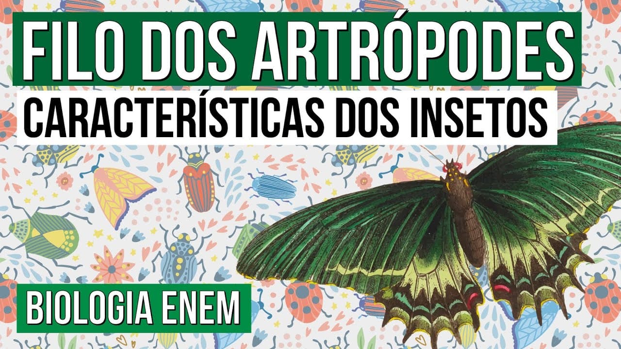 Thumbnail: FILO DOS ARTRÓPODES: características dos insetos | Biologia para o Enem | Cláudia de Souza Aguiar