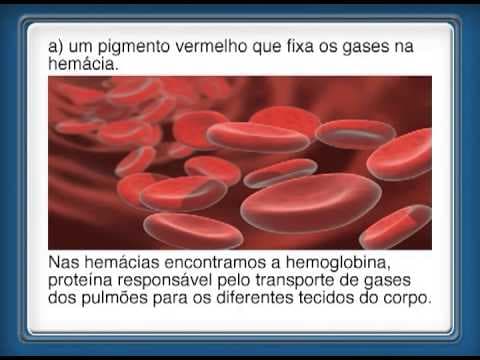 Thumbnail da aula: Superaulas Fuvest e Unicamp 2012 - 12.11 - Química, Física e Biologia