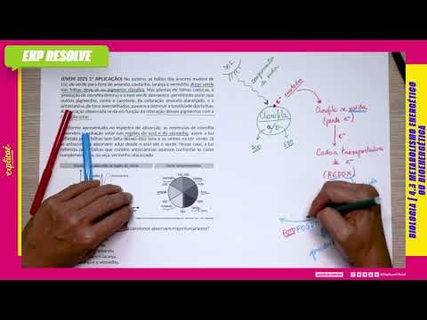 Thumbnail da aula: NO OUTONO, AS FOLHAS DAS ÁRVORES MUDAM DE COR, DE(...) |METABOLISMO ENERGÉTICO OU BIOENERGÉTICA