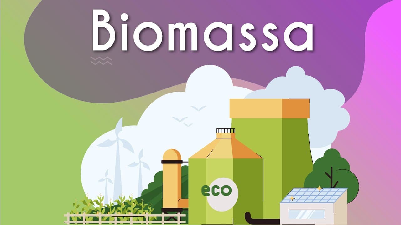 Thumbnail: Biomassa - Brasil Escola