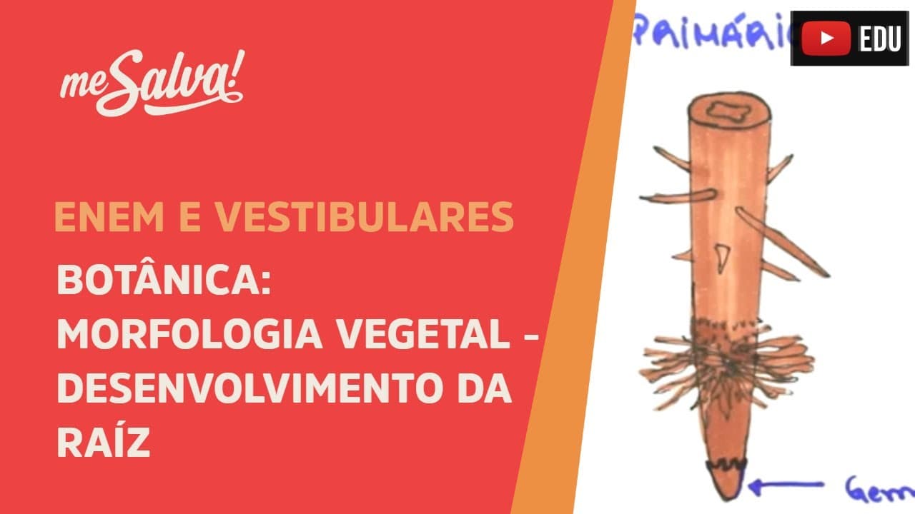 Thumbnail: Me Salva! BOT37 - Botânica - Morfologia vegetal: o desenvolvimento da raíz