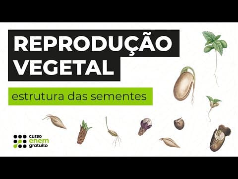 Thumbnail da aula: REPRODUÇÃO VEGETAL: estrutura das sementes | Biologia para o Enem | Cláudia de Souza Aguiar