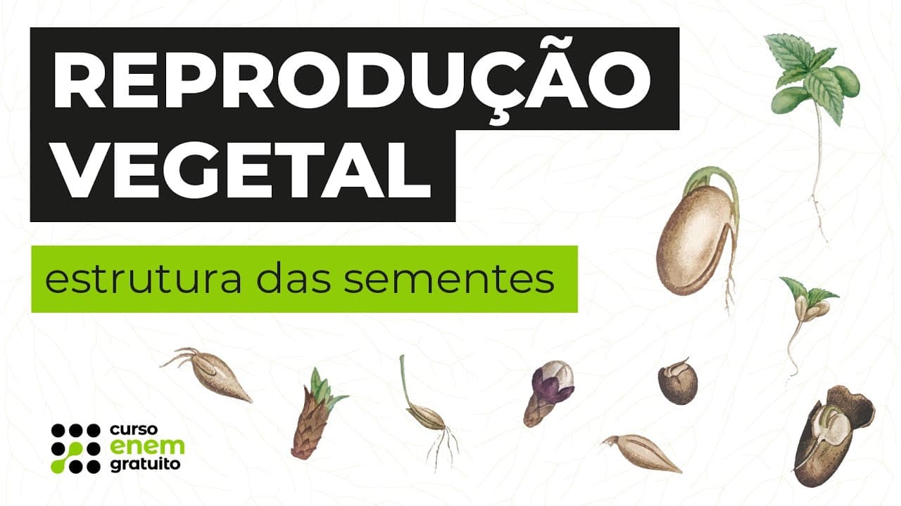 Thumbnail: REPRODUÇÃO VEGETAL: estrutura das sementes | Biologia para o Enem | Cláudia de Souza Aguiar