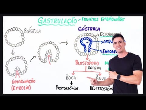 Thumbnail da aula: Resumo Gastrulação - Embriologia