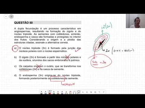 Thumbnail da aula: UNICAMP 2021   dia 1   Resolução Biologia