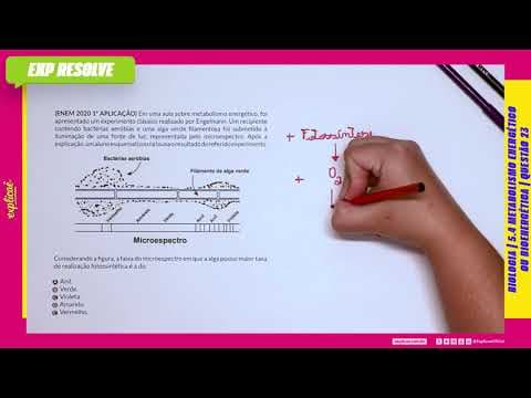 Thumbnail da aula: EM UMA AULA SOBRE METABOLISMO ENERGÉTICO, FOI (...)  METABOLISMO ENERGÉTICO OU BIOENERGÉTICA