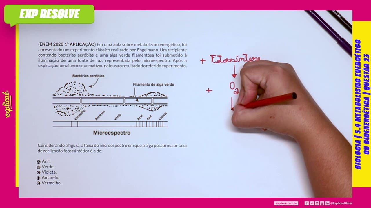 Thumbnail: EM UMA AULA SOBRE METABOLISMO ENERGÉTICO, FOI (...)  METABOLISMO ENERGÉTICO OU BIOENERGÉTICA