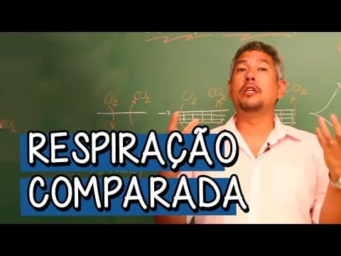 Thumbnail da aula: O que é Respiração Comparada? - Extensivo Biologia | Descomplica