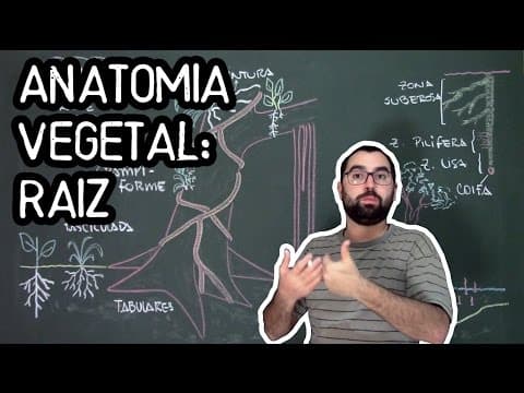 Thumbnail da aula: Organologia da Raiz (Anatomia) - Aula 15: Botânica (Prof. Guilherme)