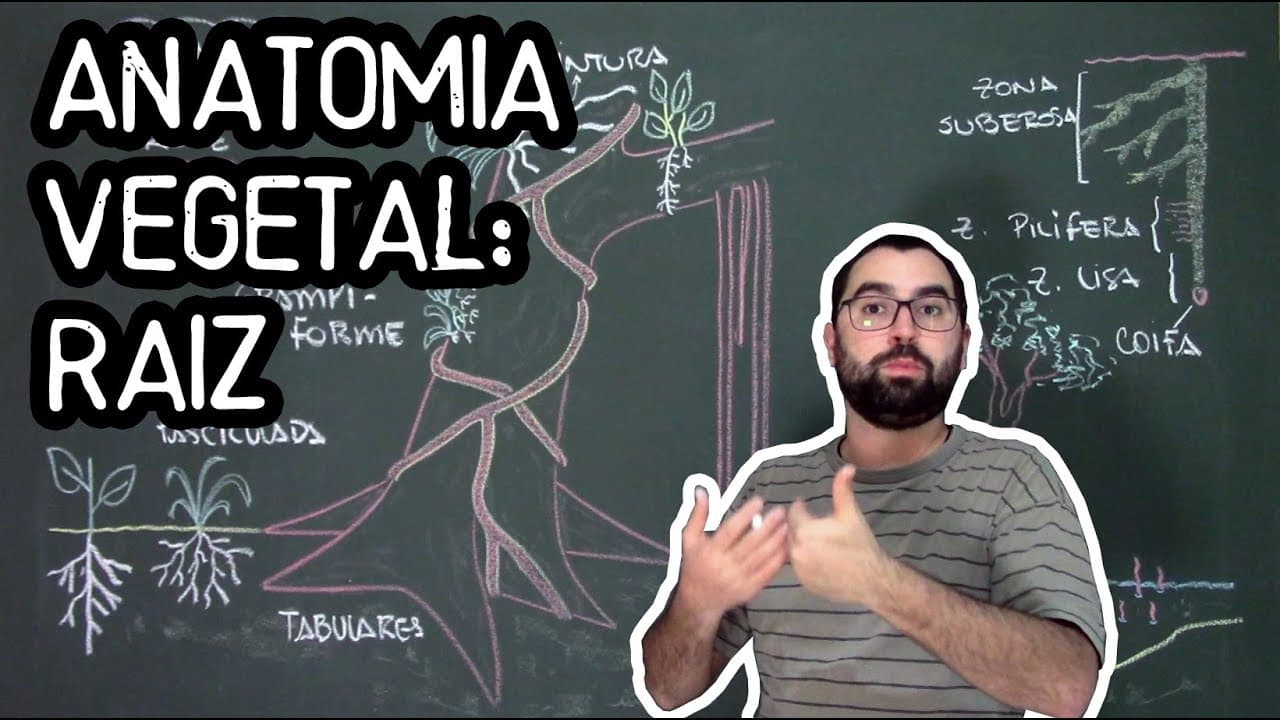 Thumbnail: Organologia da Raiz (Anatomia) - Aula 15: Botânica (Prof. Guilherme)