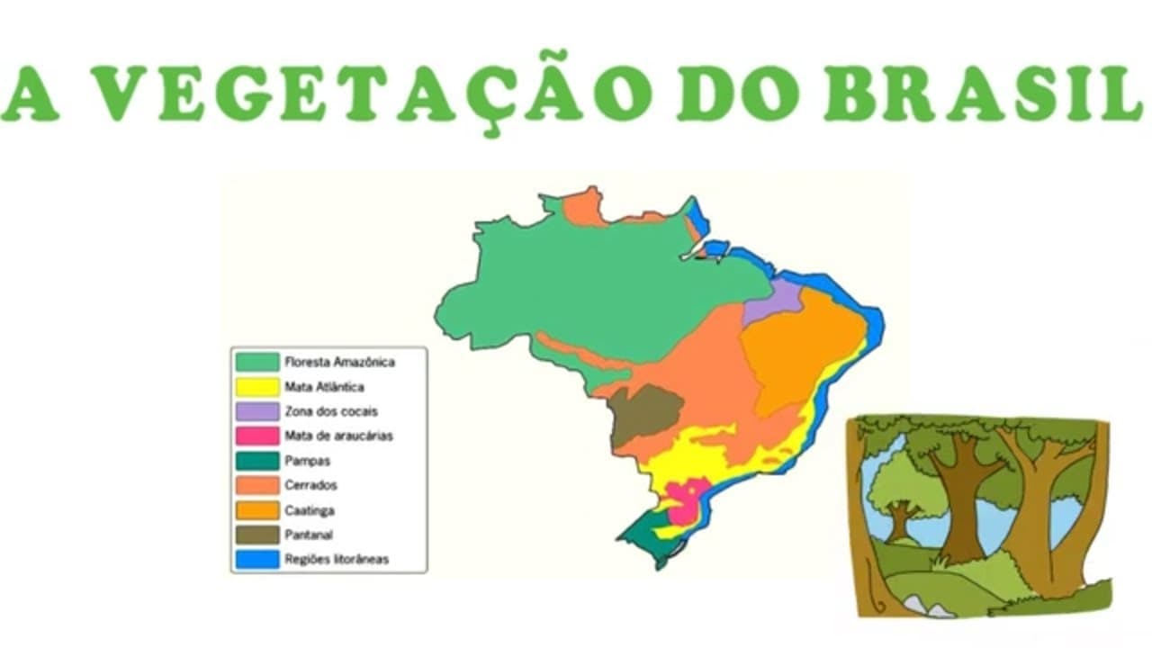 Thumbnail: Vegetação do Brasil (Biomas brasileiros)