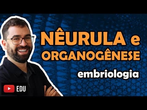 Thumbnail da aula: Nêurula e Organogênese (Embriologia) - Aula 04 - Módulo VI: Zoologia | Prof. Guilherme