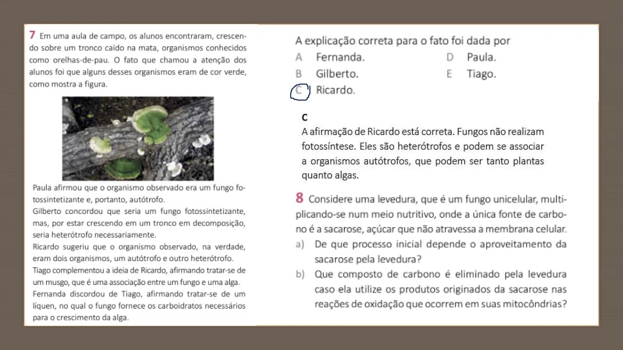Thumbnail: Aula nº14 - 08/05/20- Biologia- Professora Susanne, 3ª série – Fungos (correção)