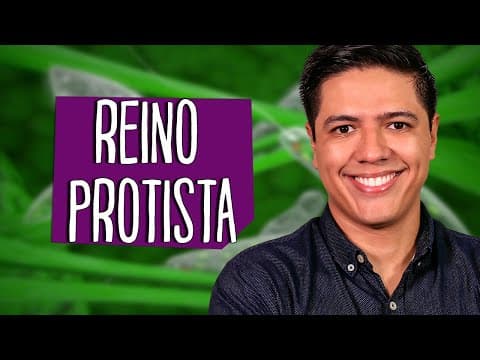 Thumbnail da aula: REINO PROTISTA - PROTOCTISTA: PROTOZOÁRIOS E ALGAS - Prof. Kennedy Ramos
