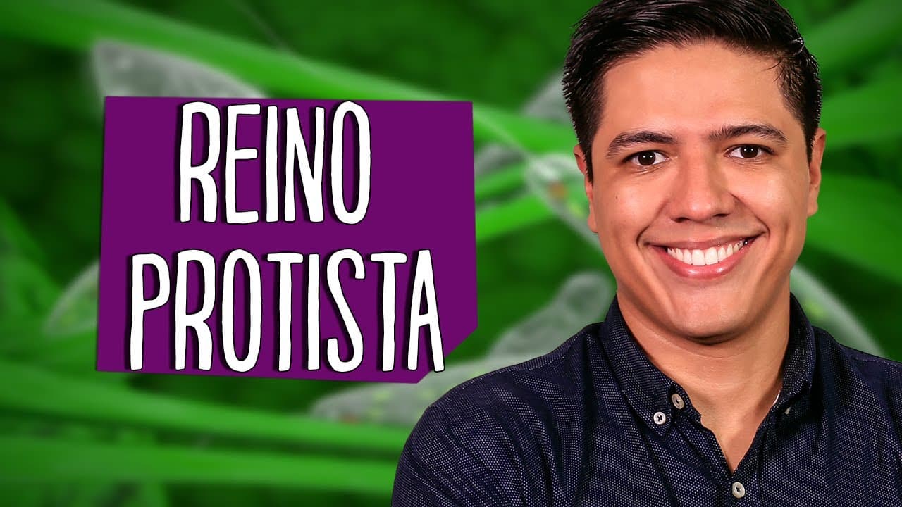 Thumbnail: REINO PROTISTA - PROTOCTISTA: PROTOZOÁRIOS E ALGAS - Prof. Kennedy Ramos