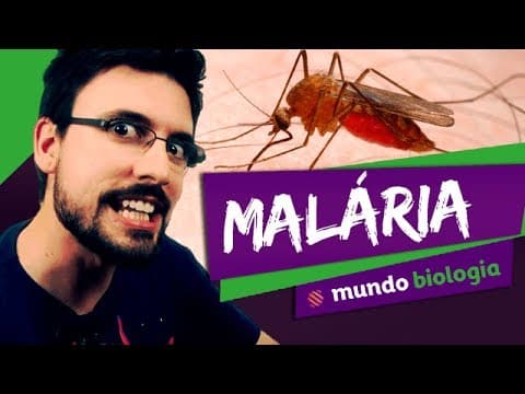 Thumbnail da aula: 🦠 Microbiologia (5/5): Malária - Biologia - ENEM