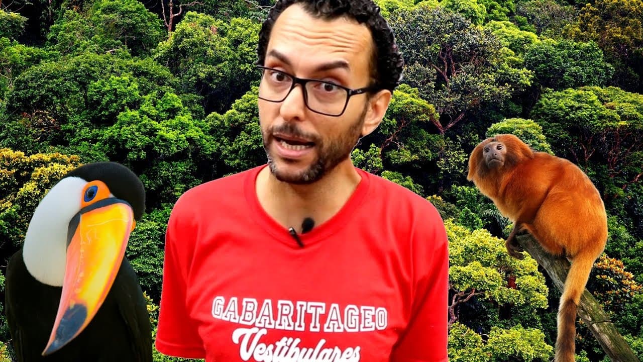 Thumbnail: GEOGRAFIA | POR DENTRO DA MATA ATLÂNTICA |