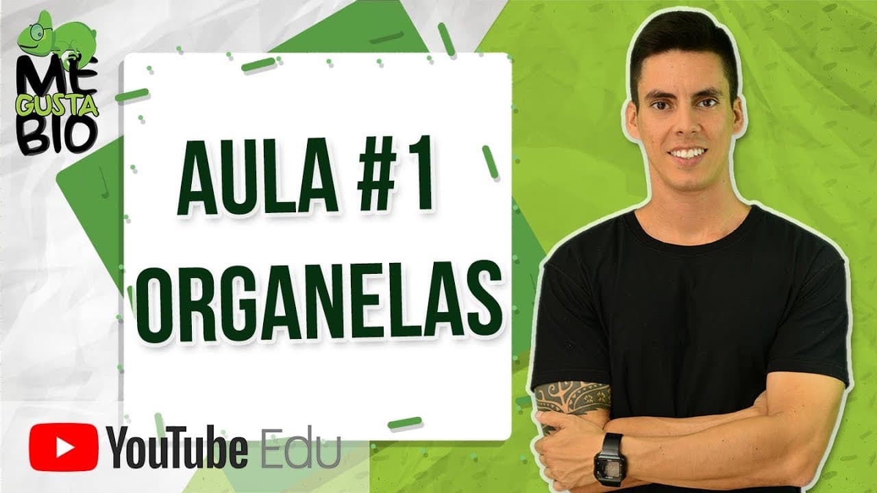 Thumbnail: Organelas